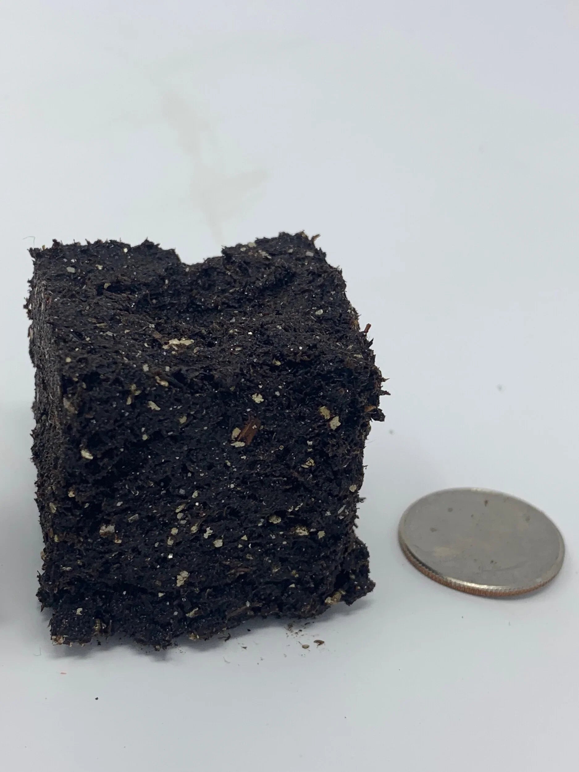 A single 1.5-inch air-pruned soil block from the Nano 9