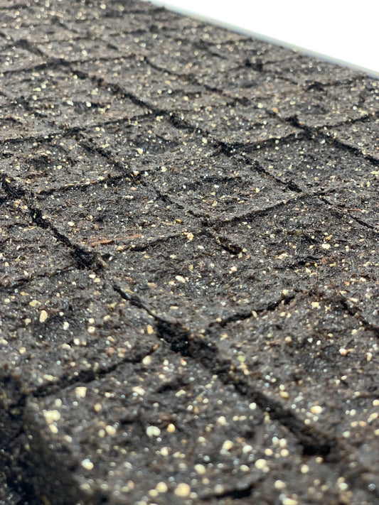 The 1.5-inch soil block the Nano 9 makes, shown with a coin for scale